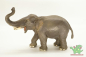 Preview: Schleich Asiatische Elefanten Bundle 14144 + 14343